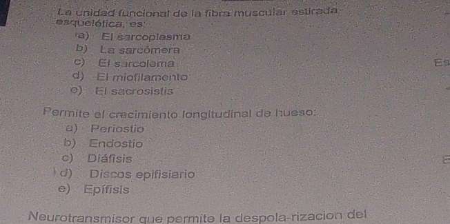 La unidad funcional de la fibra muscular estirada
esquelética, es:
a) El sarcoplasma
b) La sarcómera
c) El sarcolema Es
d) El miofilamento
e) El sacrosistis
Permite el crecimiento longitudinal de hueso:
a) Periostio
b) Endostio
c) Diáfisis
d) Discos epifisiario
e) Epífisis
Neurotransmisor que permite la despola-rizacion del