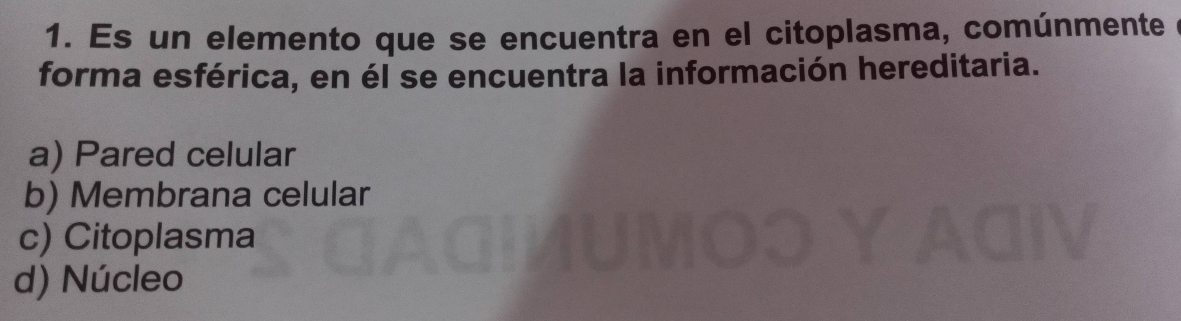 Resuelto:Es un elemento que se encuentra en el citoplasma, comúnmente ...