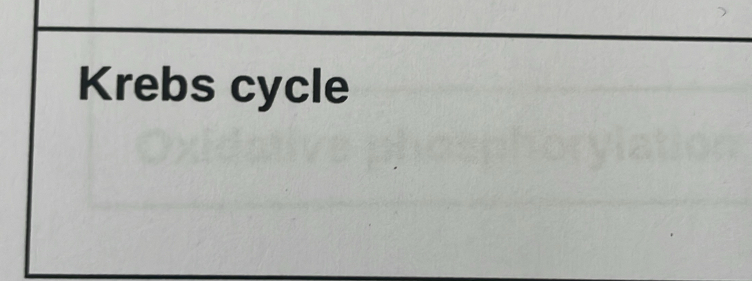 Krebs cycle