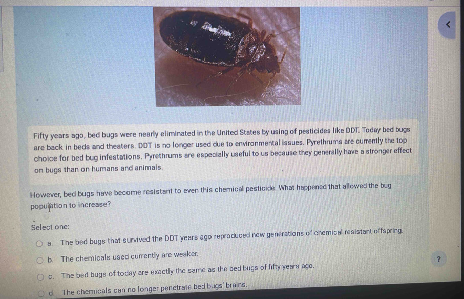 Fifty years ago, bed bugs were nearly eliminated in the United States by using of pesticides like DDT. Today bed bugs
are back in beds and theaters. DDT is no longer used due to environmental issues. Pyrethrums are currently the top
choice for bed bug infestations. Pyrethrums are especially useful to us because they generally have a stronger effect
on bugs than on humans and animals.
However, bed bugs have become resistant to even this chemical pesticide. What happened that allowed the bug
population to increase?
Select one:
a. The bed bugs that survived the DDT years ago reproduced new generations of chemical resistant offspring.
b. The chemicals used currently are weaker.
？
c. The bed bugs of today are exactly the same as the bed bugs of fifty years ago.
d. The chemicals can no longer penetrate bed bugs' brains.