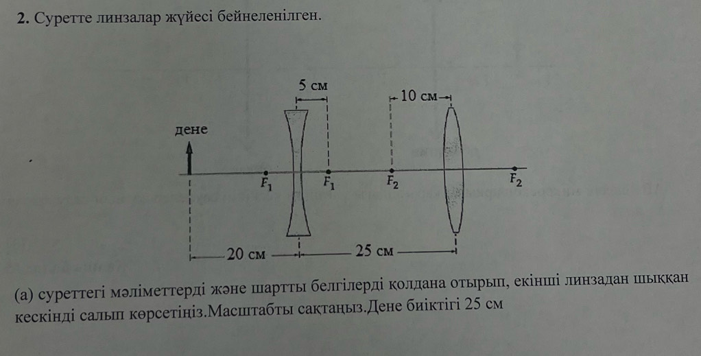 Cуретте линзалар жуйесі бейнеленілген.
(а) суреттегі мэліметтерді жэне шартть белгілерді колдана отьрь, екінші линзалан шьккан
кескінді саль корсетініз.Масштабты сактаηыз.Дене биіктігі 25 см