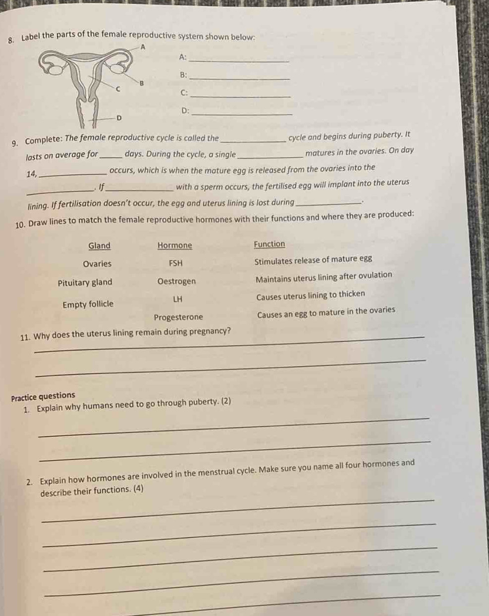 Solved: Label the parts of the female reproductive system shown below ...