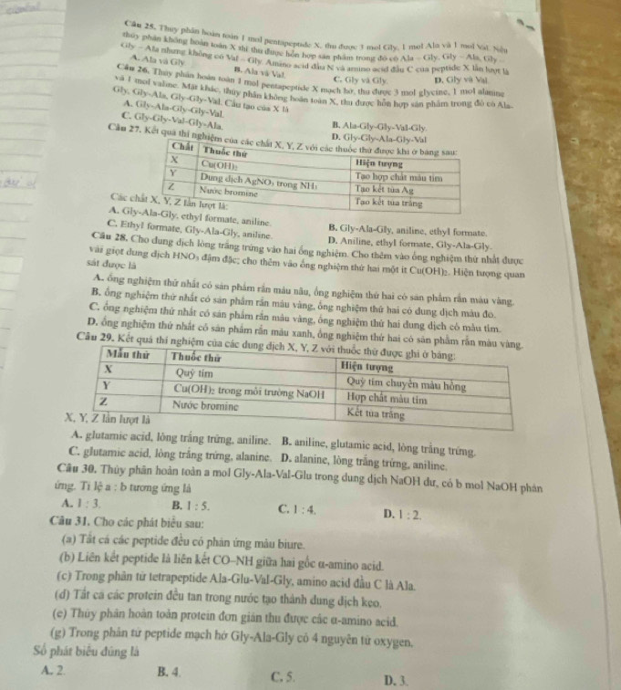 Câu 25, They phần hoàn toàn 1 mol pentapeptide X, thu được 3 mol Cily, 1 mol Ala và 1 mol Val. Ngu
thúy phần không hoàn toàn X thí thu được hôn hợp săn phẩm trong đó có Ala=Gly.Gly-Ala,Gly
Gly - Ala nhưng không có A. Ala và Gly vat-Gh B. Ala vã Val. C. Gly và Gly. D. Gly và Vai
y Amano acid đầu N và amno acid đầu C của peptide X lần lưọt là
Cầu 26. Thuy phán hoàn toàn 1 mol pentapeptide X mạch hơ, thu được 3 mol glycine, 1 mol alanine
ci1 mol valine. Mặt khác, thuy phân không hoàn toàn X, thu được hón hợp sản phâm trong đô có Als
GIy,GIy-AIa,GIy-GIy-VaI.CI lư tạo của * 1h
A. Gly-Ala-Gly-Gly-Val
C. Gly-Gly-Val-Gly=Ala,
B. Ala-Gly-Gly-Val-Gly
Cầ 27, Kết quả thí ng
Các
A. Glrmate, aniline. B. Gly-Ala-Gly, aniline, ethyl formate.
C. Ethyl formate, Gly-Ala-Gly, aniline. D. Aniline, ethyl formate, Gly-Ala-Gly.
Câu 28, Cho dung dịch lòng trắng trứng vào hai ống nghiệm. Cho thêm vào ống nghiệm thứ nhất được
vài giọt dung dịch HNO₃ đậm đặc; cho thêm vào ông nghiệm thứ hai một it Cu(OH)₂. Hiện tượng quan
sát được là
A. ông nghiệm thứ nhất có sản phẩm rần màu nâu, ổng nghiệm thứ hai có sản phẩm rắn màu vàng.
B. ổng nghiệm thứ nhất có sản phẩm rần màu vàng, ống nghiệm thứ hai có dung dịch màu đó.
C. ông nghiệm thứ nhất có sán phẩm rần màu vàng, ông nghiệm thứ hai đung dịch có màu tìm.
D. ổng nghiệm thứ nhất có sản phẩm rắn màu xanh, ổng nghiệm thứ hai có sản phẩm rắn 
Câu 29. Kết quả thi nghiệm 
A. glutamic acid, lông trắng trững, aniline. B. aniline, glutamic acid, lòng trắng trêng
C. glutamic acid, lòng trắng trừng, alanine. D. alanine, lòng trắng trứng, aniline.
Câu 30. Thùy phân hoàn toàn a mol Gly-Ala-Val-Glu trong dung dịch NaOH dư, có b mol NaOH phán
ứng. Tí lệ a : b tương ứng là
A. 1:3. B. 1:5. C. 1:4, D. 1:2.
Câu 31. Cho các phát biểu sau:
(a) Tất cá các peptide đều có phản ứng màu biure.
(b) Liên kết peptide là liên kết CO-NH giữa hai gốc α-amino acid.
(c) Trong phân từ tetrapeptide Ala-Glu-Val-Gly, amino acid đầu C là Ala.
(d) Tất cá các protein đều tan trong nước tạo thành dung địch keo.
(e) Thủy phân hoàn toàn protein đơn gián thu được các α-amino acid.
(g) Trong phân tử peptide mạch hở Gly-Ala-Gly cỏ 4 nguyên từ oxygen.
Số phát biểu đúng là
A. 2. B. 4. C. 5. D. 3.