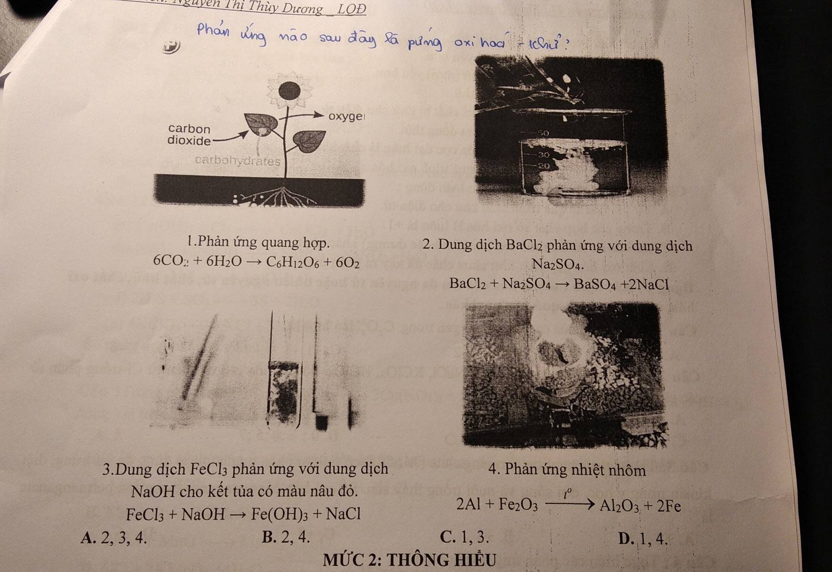 ayen Thùy Dí
1.Phản ứng quang hợp. 2. Dung dịch BaCl₂ phản ứng với dung dịch
6CO_2+6H_2Oto C_6H_12O_6+6O_2 Na₂SO₄.
BaCl_2+Na_2SO_4to BaSO_4+2NaCl
3.Dung dịch FeCl₃ phản ứng với dung dịch 4. Phản ứng nhiệt nhôm
NaOH cho kết tủa có màu nâu đỏ.
FeCl_3+NaOHto Fe(OH)_3+NaCl
2Al+Fe_2O_3xrightarrow I°Al_2O_3+2Fe
A. 2, 3, 4. B. 2, 4. C. 1, 3. D. 1, 4.
MỨC 2: THÔNG HIÊU