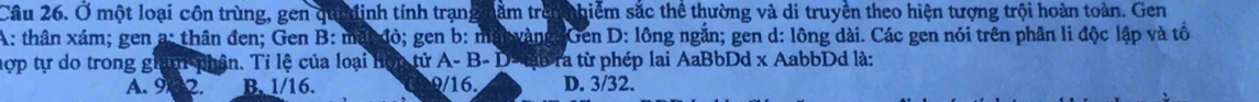 Cầu 26. Ở một loại côn trùng, gen qun định tính trạng năm trênnhiểm sắc thể thường và di truyền theo hiện tượng trội hoàn toàn. Gen
A: thân xám; gen a: thân đen; Gen B: mắt đỏ; gen b: mat vàng:Gen D: lông ngắn; gen d: lông dài. Các gen nói trên phân li độc lập và tổ
hợp tự do trong giam phận. Tỉ lệ của loại hợp tử A- B- D- tậu ra từ phép lai AaBbDd x AabbDd là:
A. 902. B. 1/16. D. 3/32.