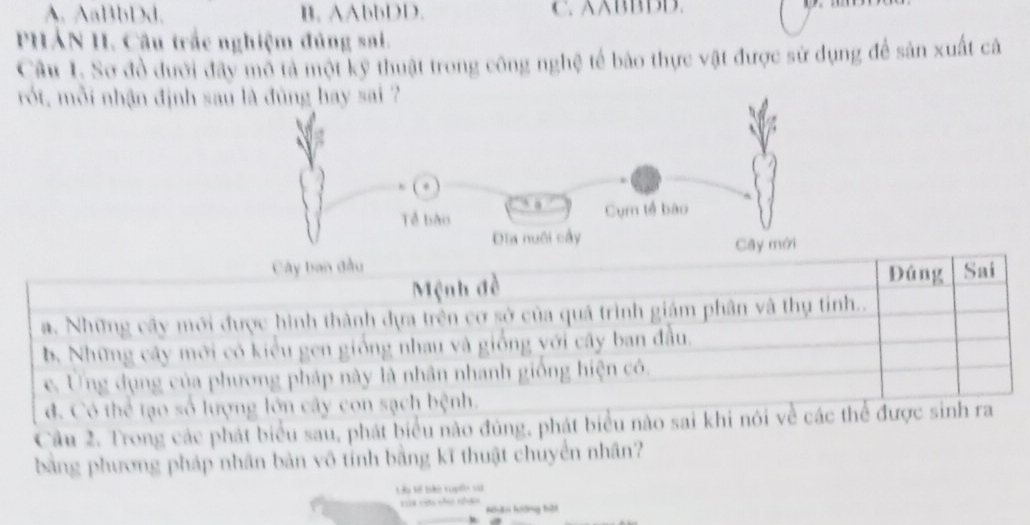 A. AaBbDd. B. AAbbDD. C. AABBDD.
PHẢN H. Câu trắc nghiệm đủng sai.
Câu 1. Sơ đồ dưới đây mô tả một kỹ thuật trong công nghệ tế bảo thực vật được sử dụng để sản xuất cả
rót, mỗi nhận định sau là đùng hay sai ?
Tể bào Cụm tế bào
Đĩa nuôi cầy
Cây mới
Cây ban đầu Đúng Sai
Mệnh đề
a. Những cây mới được hình thành dựa trên cơ sở của quả trình giám phân và thụ tỉnh..
b. Những cây mới có kiểu gen giống nhau và giống với cây ban đầu.
e. Ung dụng của phương pháp này là nhân nhanh giống hiện có.
d. Có thể tạo số lượng lớn cây con sạch bệnh.
Câu 2. Trong các phát biểu sau, phát biểu nào đúng, phát biểu nào sai khi nói về các thể được sinh ra
bằng phương pháp nhân bản vô tính bằng kĩ thuật chuyển nhân?
Lào Vế tn tupến va
==a cứu cho nhân Nhâ hướng hột