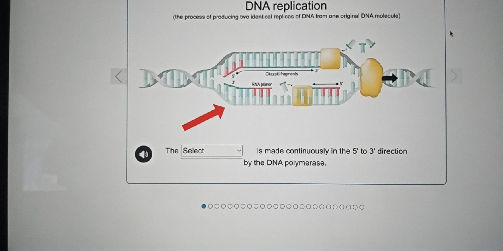 DNA replication
(the process of producing two identical replicas of DNA from one original DNA molecule)