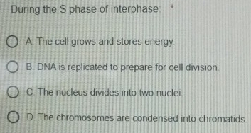 During the S phase of interphase: *
A. The cell grows and stores energy
B. DNA is replicated to prepare for cell division.
C. The nucleus divides into two nuclei.
D. The chromosomes are condensed into chromatids