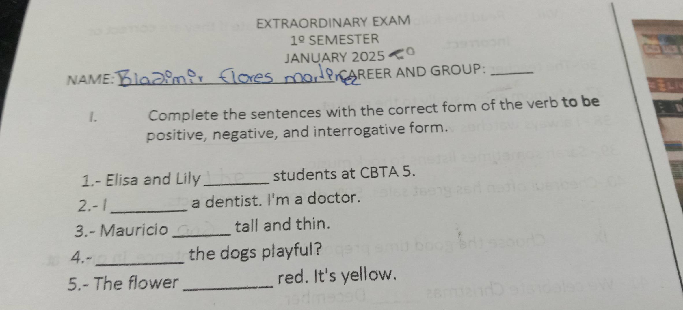 EXTRAORDINARY EXAM 
1^(_ circ) SEMESTER 
JANUARY 2025 0 
NAME:_ 
REER AND GROUP:_ 
u 
1. 
Complete the sentences with the correct form of the verb to be 
positive, negative, and interrogative form. 
1.- Elisa and Lily _students at CBTA 5. 
2. - 1 _ a dentist. I'm a doctor. 
3.- Mauricio _tall and thin. 
4.-_ 
the dogs playful? 
5.- The flower _red. It's yellow.