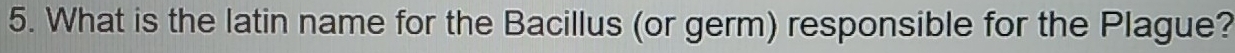 What is the latin name for the Bacillus (or germ) responsible for the Plague?