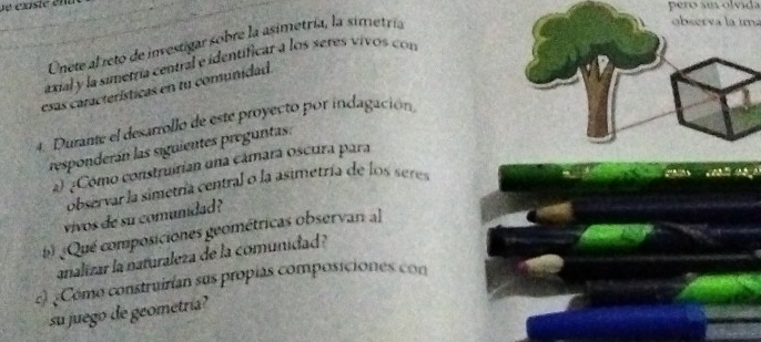 pero su olvida 
Unete al reto de investigar sobre la asimetría, la simetría 
observa la im 
axial y la sumetría central e identificar a los seres vivos con 
esas características en tu comunidad. 
4. Durante el desarrollo de este proyecto por indagación 
responderán las siguientes preguntas: 
) ¿Como construirian una câmara oscura para 
observar la simetría central o la asimetría de los seres 
vivos de su comunidad ? 
b)Qué composiciones geométricas observan al 
analizar la naturaleza de la comunidad ? 
c) ¿Como construirían sus propias composiciones con 
su juego de geometría?