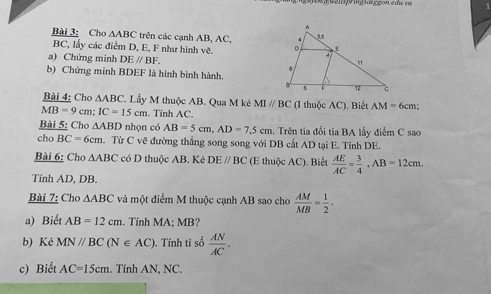 a wellspringsäiggon.edu. vn 
1 
Bài 3: Cho △ ABC trên các cạnh AB, AC,
BC, lấy các điểm D, E, F như hình vẽ. 
a) Chứng minh DE//BF. 
b) Chứng minh BDEF là hình bình hành. 
Bài 4: Cho △ ABC. Lấy M thuộc AB. Qua M kẻ MIparallel BC (I thuộc AC). Biết AM=6cm :
MB=9 cm; IC=15cm. Tính AC. 
Bài 5: Cho △ ABD nhọn có AB=5cm, AD=7,5cm. Trên tia đối tia BA lấy điểm C sao 
cho BC=6cm. Từ C vẽ đường thắng song song với DB cắt AD tại E. Tính DE. 
Bài 6: Cho △ ABC có D thuộc AB. Kẻ DE//BC (E thuộc AC). Biết  AE/AC = 3/4 , AB=12cm. 
Tính AD, DB. 
Bài 7: Cho △ ABC và một điểm M thuộc cạnh AB sao cho  AM/MB = 1/2 . 
a) Biết AB=12cm. Tính MA; MB? 
b) Kẻ MN//BC(N∈ AC). Tính tỉ số  AN/AC . 
c) Biết AC=15cm. Tính AN, NC.