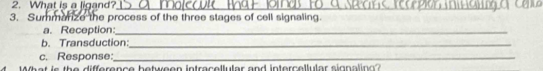 What is a ligand?_ 
3. Summarize the process of the three stages of cell signaling. 
a. Reception:_ 
b. Transduction:_ 
c. Response:_ 
What is the difference between intracellular and intercellular signaling?