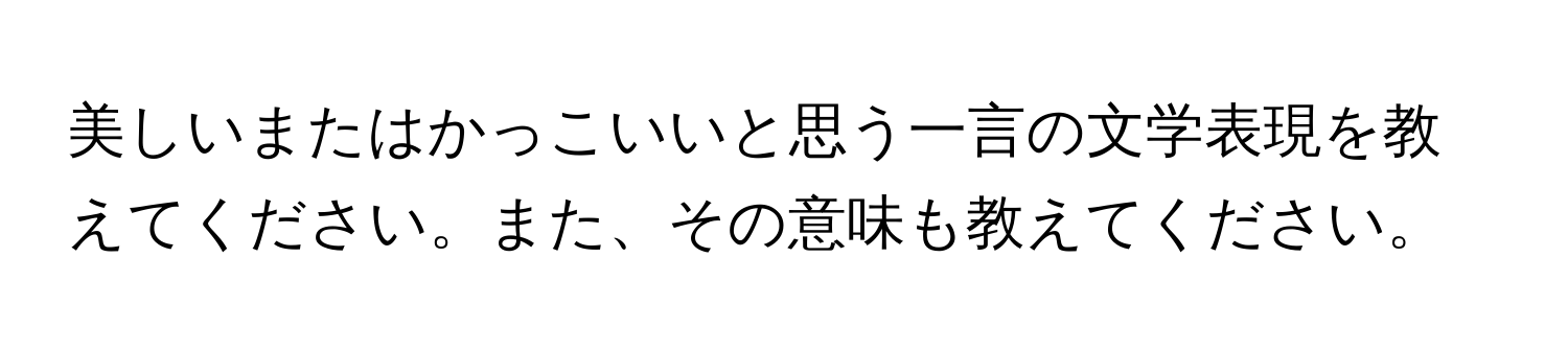 美しいまたはかっこいいと思う一言の文学表現を教えてください。また、その意味も教えてください。