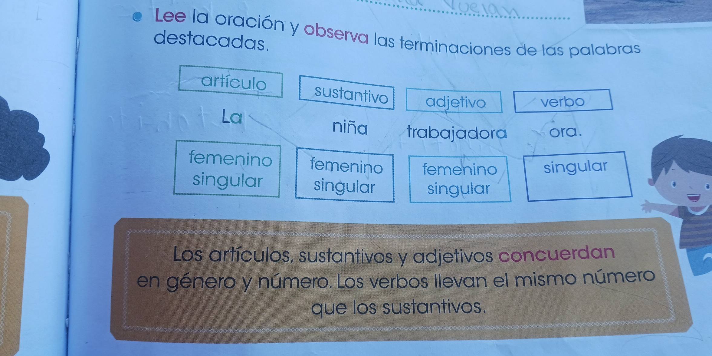 Lee la oración y observa las terminaciones de las palabras
destacadas.
artículo sustantivo adjetivo
verbo
La
niña trabajadora ora.
femenino femenino femenino singular
singular singular
singular
Los artículos, sustantivos y adjetivos concuerdan
en género y número. Los verbos llevan el mismo número
que los sustantivos.