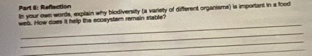 Reflection 
In your own words, explain why biodiversity (a variety of different organisms) is important in a food 
_ 
web. How does it help the ecosystem remain stable? 
_ 
_ 
_