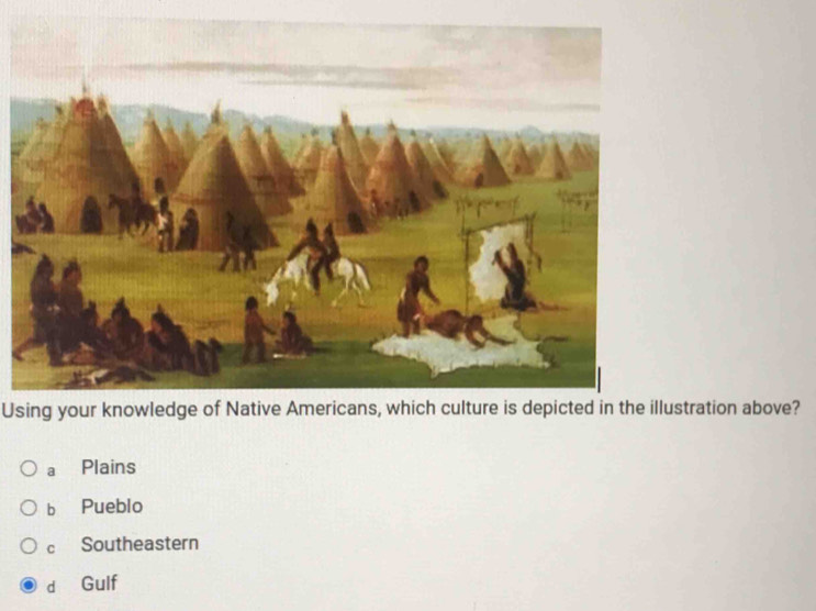 Using your knowledge of Native Americans, which culture is depicted in the illustration above?
a Plains
b Pueblo
c Southeastern
d Gulf