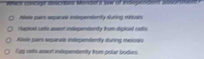 Wacs concept descrbes Menders law of independent assorment
Alisie pairs separate independently during mricsis
Hapioid cells assor independenty from diploid catls
Alele pairs separale independenty during melods
Egg calls assort independently from polar bodies.