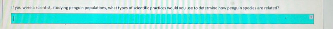 If you were a scientist, studying penguin populations, what types of scientific practices would you use to determine how penguin species are related?