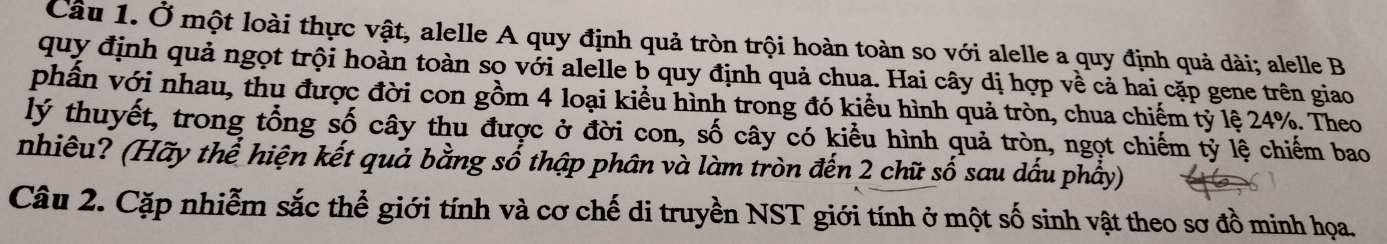 Ở một loài thực vật, alelle A quy định quả tròn trội hoàn toàn so với alelle a quy định quả dài; alelle B 
quy định quả ngọt trội hoàn toàn so với alelle b quy định quả chua. Hai cây dị hợp về cả hai cặp gene trên giao 
phần với nhau, thu được đời con gồm 4 loại kiểu hình trong đó kiểu hình quả tròn, chua chiếm tỷ lệ 24%. Theo 
lý thuyết, trong tổng số cây thu được ở đời con, số cây có kiểu hình quả tròn, ngọt chiếm tỷ lệ chiếm bao 
nhiều? (Hãy thể hiện kết quả bằng số thập phân và làm tròn đến 2 chữ số sau dấu phầy) 
Câu 2. Cặp nhiễm sắc thể giới tính và cơ chế di truyền NST giới tính ở một số sinh vật theo sơ đồ minh họa.