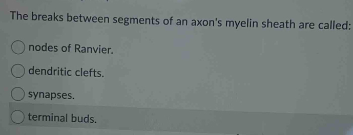 The breaks between segments of an axon's myelin sheath are called:
nodes of Ranvier.
dendritic clefts.
synapses.
terminal buds.