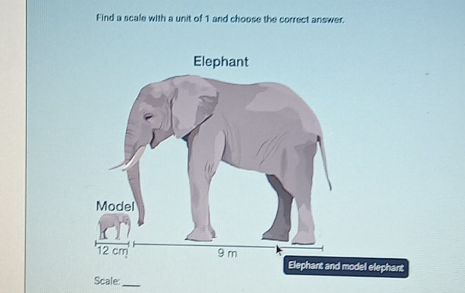 Find a scale with a unit of 1 and choose the correct answer. 
Elephant and model elephant 
Scale:_