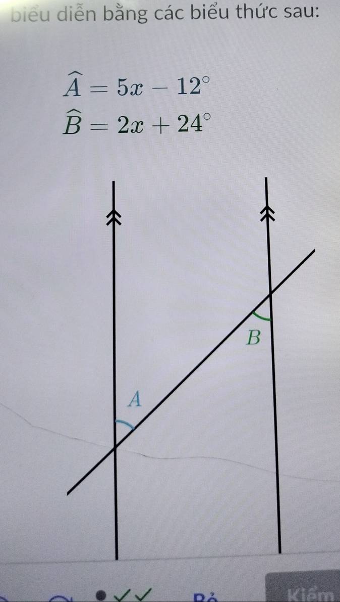 biểu diễn bằng các biểu thức sau:
widehat A=5x-12°
widehat B=2x+24°
Kiểm