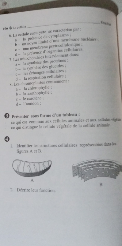 Exerions
106 La cellule
6. La cellule eucaryote se caractérise par :
a la présence de cytoplasme ;
b - un noyau limité d'une membrane nucléaire :
c - une membrane pectocellulosique ;
d - la présence d'organites cellulaires.
7. Les mitochondries interviennent dans:
a - la synthèse des protéines ;
b - la synthèse des glucides ;
c - les échanges cellulaires ;
d - la respiration cellulaire ;
8. Les chromoplastes contiennent :
a - la chlorophylle ;
b - la xanthophylle ;
c - le carotène ;
d - 1'amidon ;
Présenter sous forme d'un tableau :
ce qui est commun aux cellules animales et aux cellules vees s
ce qui distingue la cellule végétale de la cellule animale.
4
1. Identifier les structures cellulaires représentées dans les
figures A et B.
A
2. Décrire leur fonction.