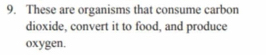 These are organisms that consume carbon 
dioxide, convert it to food, and produce 
oxygen.