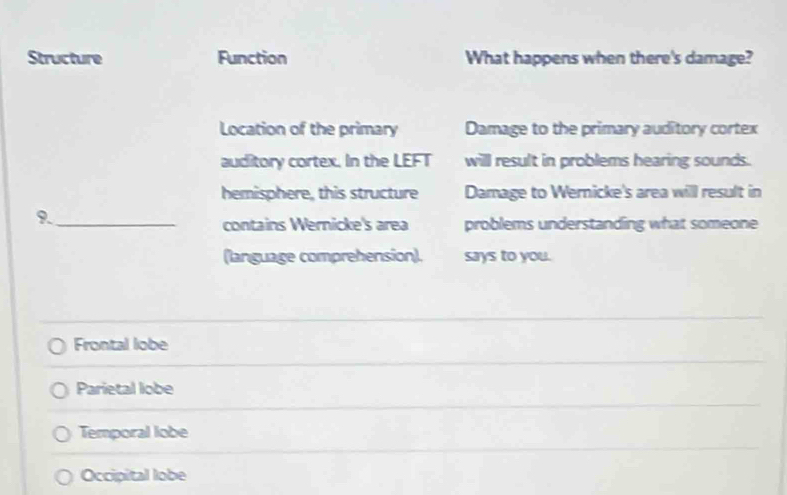 Structure Function What happens when there's damage?
Location of the primary Damage to the primary auditory cortex
auditory cortex. In the LEFT will result in problems hearing sounds.
hemisphere, this structure Damage to Wernicke's area will result in
9._
contains Wernicke's area problems understanding what someone
(language comprehension). says to you.
Frontal lobe
Parietal lobe
Temporal lobe
Occipital lobe