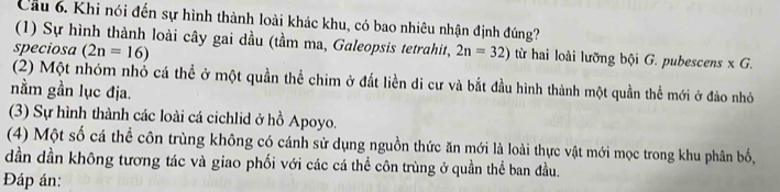 Cầu 6. Khi nói đến sự hình thành loài khác khu, có bao nhiêu nhận định đúng?
(1) Sự hình thành loài cây gai dầu (tầm ma, Galeopsis tetrahit,
speciosa (2n=16) 2n=32) từ hai loài lưỡng bội G. pubescens x G.
(2) Một nhóm nhó cá thể ở một quần thể chim ở đất liền di cư và bắt đầu hình thành một quần thể mới ở đảo nhỏ
nằm gần lục địa.
(3) Sự hình thành các loài cá cichlid ở hồ Apoyo.
(4) Một số cá thể côn trùng không có cánh sử dụng nguồn thức ăn mới là loài thực vật mới mọc trong khu phân bố,
dần dần không tương tác và giao phối với các cá thể côn trùng ở quần thể ban đầu.
Đáp án: