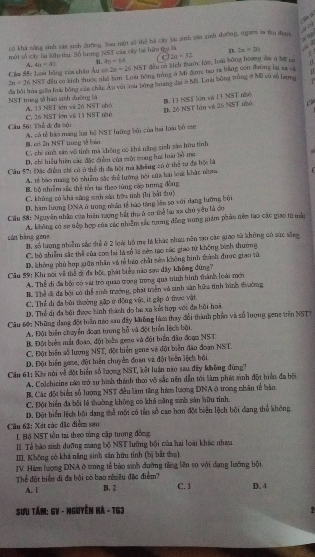 Cậu 6,
ti cú
xìng
có khả năng sinh sản sinh dưỡng. Sau một số thể hệ cây lai sinh sản sinh dưỡng, người ta thu được
một số cây lai hữu thụ. Số lượng NST của cây lai hữu thụ là
D. 2n=20
các đi
C 2n=32
A. 4n=40 B. 4n=64.
Câu 55: Loài bông của châu Âu có 2n=26NST đều có kích thước lớn, loài bông hoang đai ở Mĩ có
2n=26NST đều có kích thước nhỏ hơn. Loài bông trồng ở Mĩ được tạo ra bằng con đường lại xa và
n
đa bội hóa giữa loài bông của châu Âu với loài bông hoang dại ở Mĩ. Loài bông trồng ở Mĩ có số lượng
NST trong tế bảo sinh dưỡng là
Câ
A. 13 NST lớn và 26 NST nhỏ. B. 13 NST lớn và 13 NST nhỏ
C. 26 NST lớn và 13 NST nhỏ D. 26 NST lớn và 26 NST nhỏ
Câu 56: Thể dị đa bội
A. có tế bảo mang hai bộ NST lưỡng bội của hai loài bố mẹ.
B. có 2n NST trong tế bào.
C. chỉ sinh sản vô tính mả không có khả năng sinh sản hữu tính
D. chỉ biểu hiện các đặc điểm của một trong hai loài bố mẹ
nu
Câu 57: Đặc điểm chỉ có ở thể dị đa bội mà không có ở thể tự đa bội là
A. tế bảo mang bộ nhiễm sắc thể lưỡng bội của hai loài khác nhau.
(
B. bộ nhiễm sắc thể tồn tại theo từng cặp tương đồng.
C. không có khả năng sinh sản hữu tinh (bị bất thụ)
D. hàm lượng DNA ở trong nhân tế bảo tăng lên so với dạng lưỡng bội
Câu 58: Nguyên nhân của hiện tượng bất thụ ở cơ thể lai xa chủ yểu là do
A. không có sự tiếp hợp của các nhiễm sắc tương đồng trong giảm phân nên tạo các giao từ mắt
cân bằng gene,
B. số lượng nhiễm sắc thể ở 2 loài bố mẹ là khác nhau nên tạo các giao tử không có sức sống
C. bộ nhiễm sắc thể của con lai là số lẻ nên tạo các giao tử không bình thường
D. không phù hợp giữa nhân và tế bảo chất nên không hình thành được giao tử
Câu 59: Khi nói về thể dị đa bội, phát biểu nào sau đây không đúng?
A. Thể dị đa bội có vai trò quan trọng trong quá trình hình thành loài mới
B. Thể dị đa bội có thể sinh trưởng, phát triển và sinh sản hữu tính bình thường.
C. Thể dị đa bội thường gặp ở động vật, it gặp ở thực vật.
D. Thể dị đa bội được hình thành do lai xa kết hợp với đa bội hoá.
Câu 60: Những dạng đột biến nào sau đây không làm thay đổi thành phần và số lượng gene trên NST?
A. Đột biển chuyển đoạn tương hỗ và đột biển lệch bội.
B. Đột biển mắt đoạn, đột biển gene và đột biển đảo đoạn NST.
C. Đột biển số lượng NST, đột biến gene và đột biển đảo đoạn NST.
D. Đột biển gene, đột biển chuyển đoạn và đột biển lệch bội.
Câu 61: Khi nói về đột biển số lượng NST, kết luận nào sau đây không đúng?
A. Colchicine cản trở sự hình thành thoi vô sắc nên dẫn tới làm phát sinh đột biển đa bội.
B. Các đột biến số lượng NST đều làm tăng hàm lượng DNA ở trong nhân tế bào.
C. Đột biển đa bội lẻ thường không có khả năng sinh sản hữu tính.
D. Đột biến lệch bội dạng thể một có tần số cao hơn đột biến lệch bội dạng thể không.
Câu 62: Xét các đặc điểm sau:
I. Bộ NST tồn tại theo từng cặp tương đồng
II. Tế bào sinh dưỡng mang bộ NST lưỡng bội của hai loài khác nhau.
IIL Không có khả năng sinh sản hữu tính (bị bất thụ).
IV Hàm lượng DNA ở trong tế bào sinh dưỡng tăng lên so với dạng lưỡng bội.
Thể đột biển dị đa bội có bao nhiêu đặc điểm?
C. 3
A. 1 B. 2 D. 4
Sưu Tấm: GV - NGuyễn Hà - TG3 2