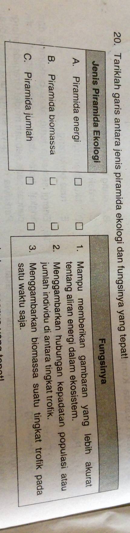 Tariklah garis antara jenis piramida eng tepat!
Jenis Piramida Ekologi
A. Piramida energi
B. Piramida biomassa
C. Piramida jumlah
