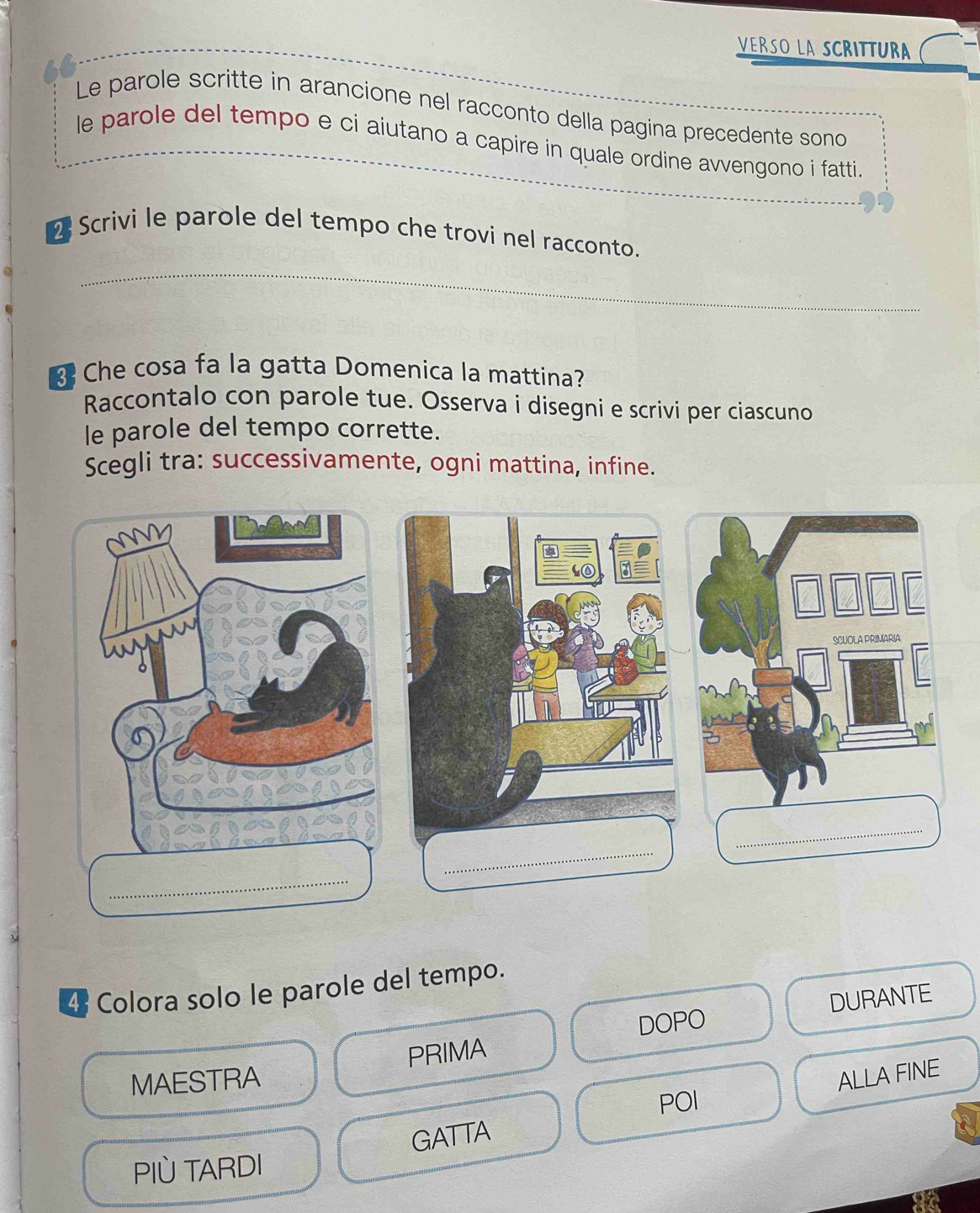 VERSO LA SCRITTURA 
Le parole scritte in arancione nel racconto della pagina precedente sono 
le parole del tempo e ci aiutano a capire in quale ordine avvengono i fatti. 
2 Scrivi le parole del tempo che trovi nel racconto. 
_ 
_ 
Che cosa fa la gatta Domenica la mattina? 
Raccontalo con parole tue. Osserva i disegni e scrivi per ciascuno 
le parole del tempo corrette. 
Scegli tra: successivamente, ogni mattina, infine. 
SCUOLA PRIMARIA 
_ 
_ 
_ 
4 Colora solo le parole del tempo. 
DOPO DURANTE 
MAESTRA PRIMA 
ALLA FINE 
POI 
GATTA 
PIÜ TARDI