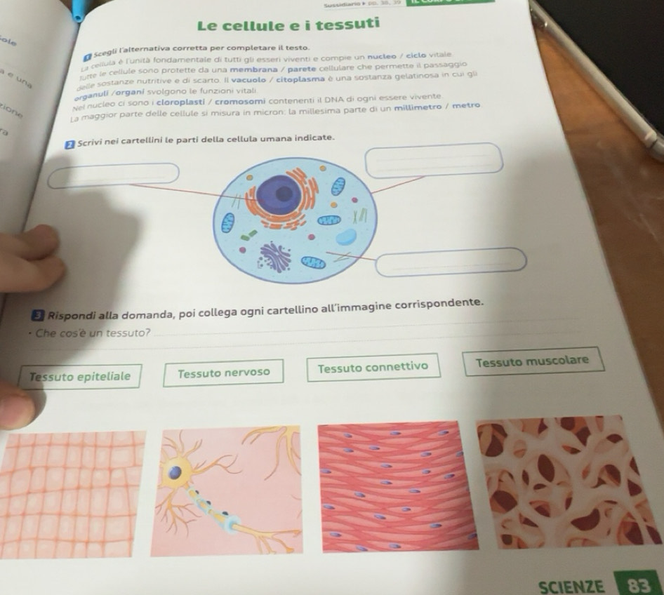 Risolto:Le cellule e i tessuti ole Scegli l'alternativa corretta per ...