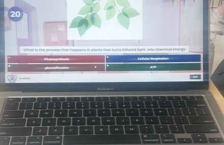 What is the process that happens in plants that tums infrared light into chemical energy 
Photosynthesis Cellular Respiration 
glucosification a ATP 
maddis 
MacBook Air 
!! w π 
, ; : : ; : : 
A v 
。 w T Y u 、 。 , 3 i 
ga Amarh A 。 
L : 
z × C v B N M 

sum and comas 4