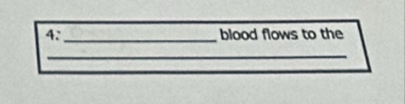 4:_ blood flows to the 
_