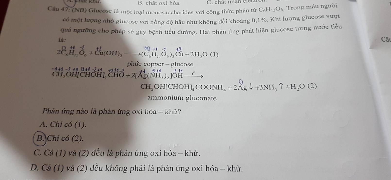 chất oxi hóa. C. chất nhận clectro
Cầu 47: (NB) Glucose là một loại monosaccharides với công thức phân tử C_6H_12O_6. Trong máu người
có một lượng nhỏ glucose với nồng độ hầu như không đổi khoảng 0, 1%. Khi lượng glucose vượt
quá ngưỡng cho phép sẽ gây bệnh tiểu đường. Hai phản ứng phát hiện glucose trong nước tiểu
là: Câu
2C_6^((14)H_12)O_6+Cu(OH)_2to (C_6H_(11)^(10)O_6)_2Cu+2H_2O(1)
phức copper - glucose
-1+1-2+10+1-2+1+11-1
CH_2OH[CHOH]_4CHO+2[Ag(NH_3)_2]OH-
CH_2OH[CHOH]_4COONH_4+2Agdownarrow +3NH_3uparrow +H_2O(2)
ammonium gluconate
Phản ứng nào là phản ứng oxi hóa - khử?
A. Chi có (1).
B. Chi có (2).
C. Cả (1) và (2) đều là phản ứng oxi hóa - khử.
D. Cả (1) và (2) đều không phải là phản ứng oxi hóa - khử.