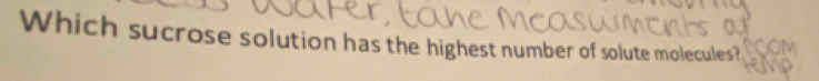 Which sucrose solution has the highest number of solute molecules?