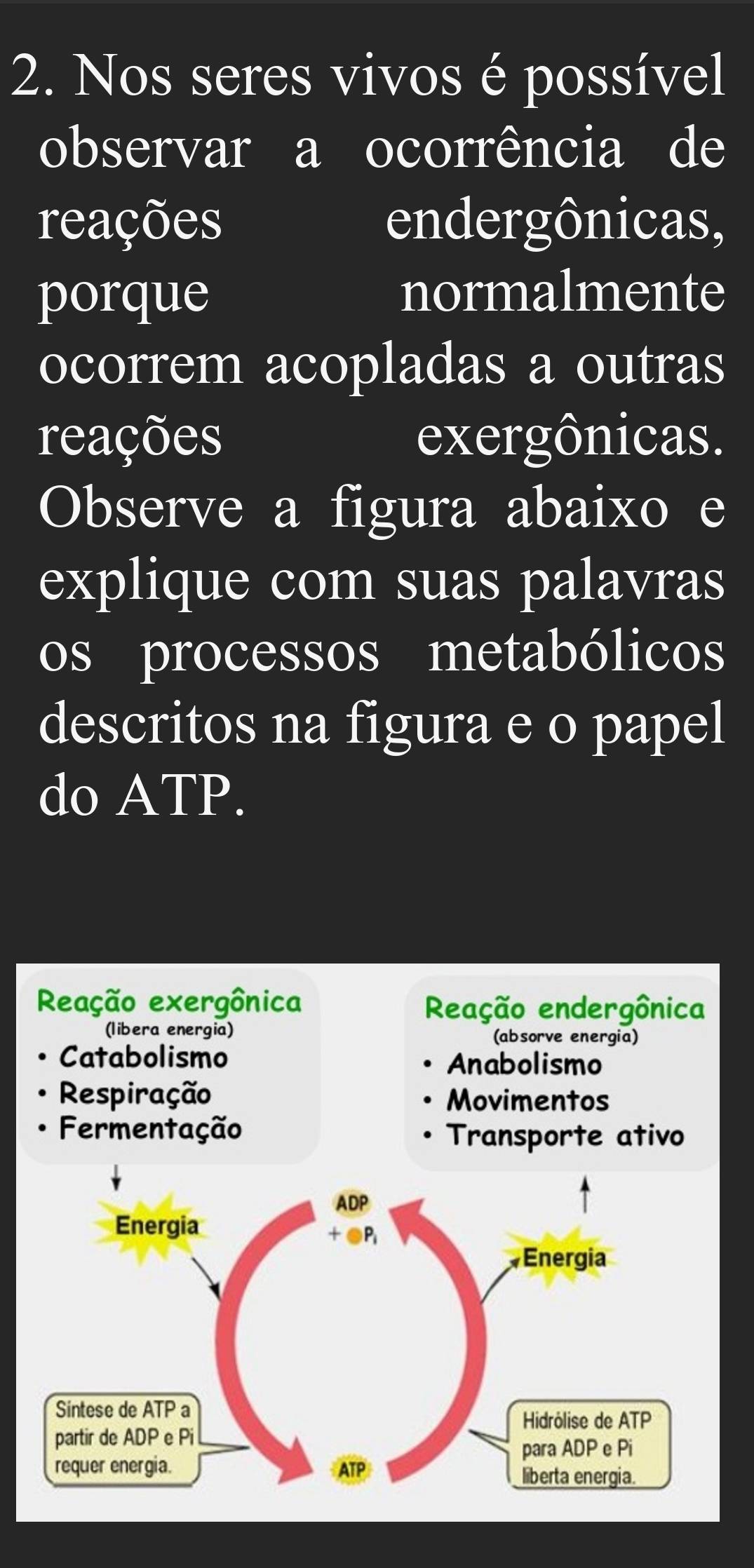 Nos seres vivos é possível
observar a ocorrência de
reações endergônicas,
porque normalmente
ocorrem acopladas a outras
reações exergônicas.
Observe a figura abaixo e
explique com suas palavras
os processos metabólicos
descritos na figura e o papel
do ATP.
Reação exergônica Reação endergônica
(libera energia) (absorve energia)
Catabolismo Anabolismo
Respiração Movimentos
Fermentação
Transporte ativo