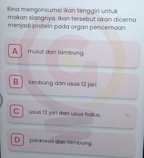 Rina mengonsumsi ikan tenggiri untuk
makan siangnya. Ikan tersebut akan dicerna
menjadi protein pada organ pencernaan
A mulut dan lambung.
B lambung dan usus 12 jari.
c l usus 12 jari dan usus halus.
D pankreas dan lambung.