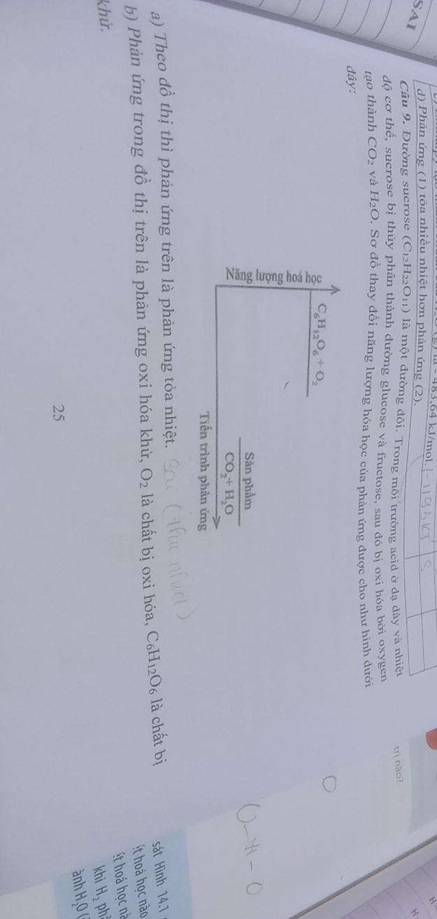 3.64 kJ/mol.
d) Phản ứng (1) tỏa nhiều nhiệt hơn phản ứng (2). H
SAI
Câu 9. Đường sucrose (C_12H_22O_11) là một đường đôi. Trong môi trường acid ở dạ dày và nhiệt trị nào?
độ cơ thể, sucrose bị thùy phân thành đường glucose và fructose, sau đó bi oxi hóa bởi oxygen
tạo thành CO_2 và H_2O. Sơ đồ thay đổi năng lượng hóa học của phản ứng được cho như hình dưới
đây:
a) Theo đồ thị thì phản ứng trên là phản ứng tỏa nhiệt.
b) Phản ứng trong đồ thị trên là phản ứng oxi hóa khử, O_2 là chất bị oxi hóa, C_6H_12O_6 là chất bị
sát Hình 14.1
ét hoá học nào
ét hoá học nà
khử. ph
khi H_2
ành H,0 (
25