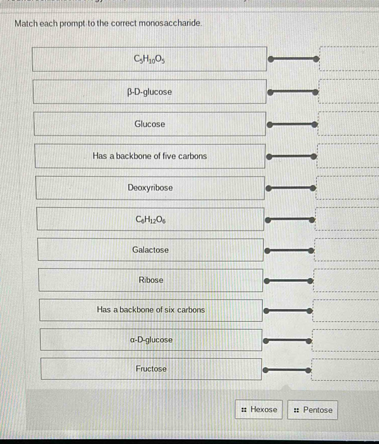 Match each prompt to the correct monosaccharide.
C_5H_10O_5
β-D-glucose 
Glucose 
Has a backbone of five carbons 
Deoxyribose
C_6H_12O_6
Galactose 
Ribose 
Has a backbone of six carbons 
α-D-glucose 
Fructose 
Hexose Pentose