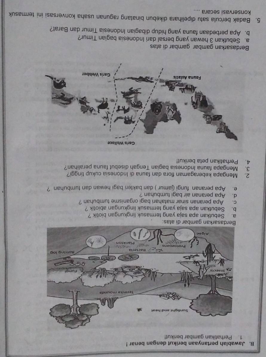 Jawablah pertanyaan berikut dengan benar ! 
1. Perhatikan gambar berikut! 
a. Sebutkan apa saja yang termasuk lingkungan biotik ? 
b. Sebutkan apa saja yang termasuk lingkungan abiotik ? 
c. Apa peranan sinar matahari bagi organisme tumbuhan ? 
d. Apa peranan air bagi tumbuhan ? 
e. Apa peranan fungi (jamur ) dan bakteri bagi hewan dan tumbuhan ? 
2. Mengapa keberagaman flora dan fauna di Indonesia cukup tinggi? 
3. Mengapa fauna Indonesia bagian Tengah disebut fauna peralihan? 
4. Perhatikan peta berikut! 
Berdasarkan gambar gambar di atas 
a. Sebutkan 3 hewan yang bersal dari Indonesia bagian Timur? 
b. Apa perbedaan fauna yang hidup dibagian Indonesia Timur dan Barat? 
5. Badak bercula satu dipelihara dikebun binatang ragunan usaha konversasi ini termasuk 
konservasi secara ....