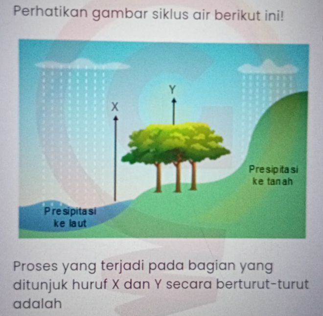 Perhatikan gambar siklus air berikut ini! 
Proses yang terjadi pada bagian yang 
ditunjuk huruf X dan Y secara berturut-turut 
adalah