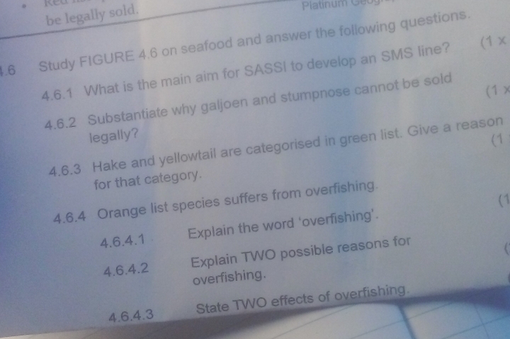 ked 
be legally sold. 
Platinum Geo 
4.6 Study FIGURE 4.6 on seafood and answer the following questions. 
4.6.1 What is the main aim for SASSI to develop an SMS line? (1 x 
4.6.2 Substantiate why galjoen and stumpnose cannot be sold (1 × 
legally? 
(1 
4.6.3 Hake and yellowtail are categorised in green list. Give a reason 
for that category. 
(1 
4.6.4 Orange list species suffers from overfishing. 
4.6.4.1 Explain the word ‘overfishing’. 
4.6.4.2 Explain TWO possible reasons for 
overfishing. 
4.6.4.3 State TWO effects of overfishing.