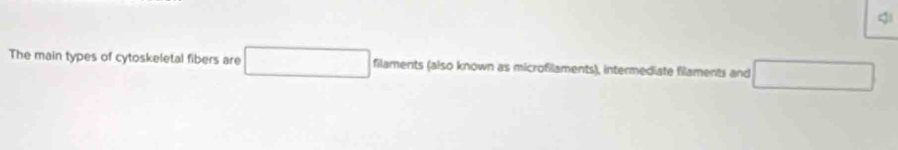 The main types of cytoskeletal fibers are filaments (also known as microfilaments), intermediate filaments and