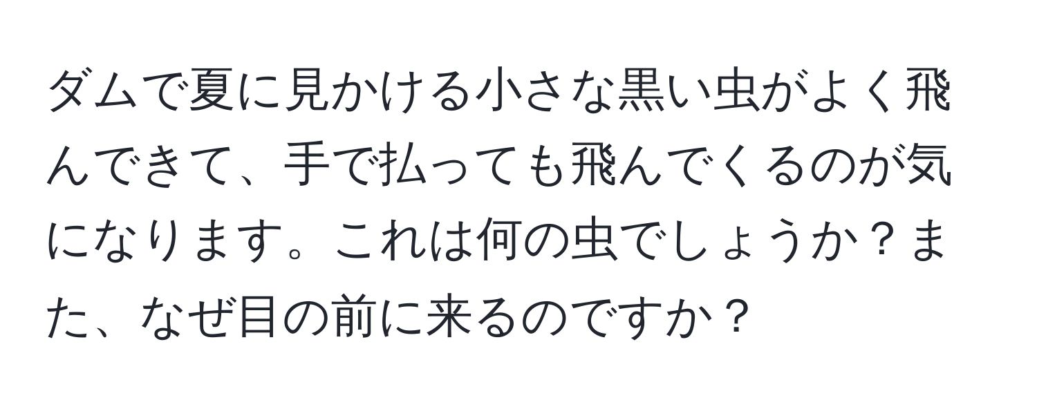 ダムで夏に見かける小さな黒い虫がよく飛んできて、手で払っても飛んでくるのが気になります。これは何の虫でしょうか？また、なぜ目の前に来るのですか？