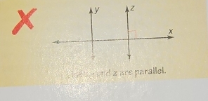 y z
x
d es w and z are parallel.