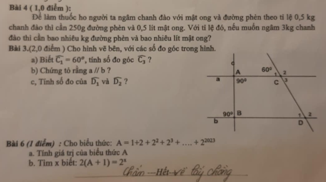 ( 1,0 điểm ):
Để làm thuốc ho người ta ngâm chanh đào với mật ong và đường phèn theo tỉ lệ 0,5 kg
chanh đào thì cần 250g đường phèn và 0,5 lít mật ong. Với tỉ lệ đó, nếu muốn ngâm 3kg chanh
đào thì cần bao nhiêu kg đường phèn và bao nhiêu lít mật ong?
Bài 3.(2,0 điểm ) Cho hình vẽ bên, với các số đo góc trong hình.
a) Biết widehat C_1=60^o , tính số đo góc widehat C_3 ?
b) Chứng tỏ rằng a//b ? 
c, Tính số đo của widehat D_1 và widehat D_2 ? 
Bài 6 (1 điểm) : Cho biểu thức: A=1+2+2^2+2^3+...+2^(2023)
a. Tính giá trị của biểu thức A
b. Tìm x biết: 2(A+1)=2^x